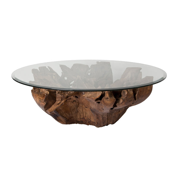Natura Root Coffee Table